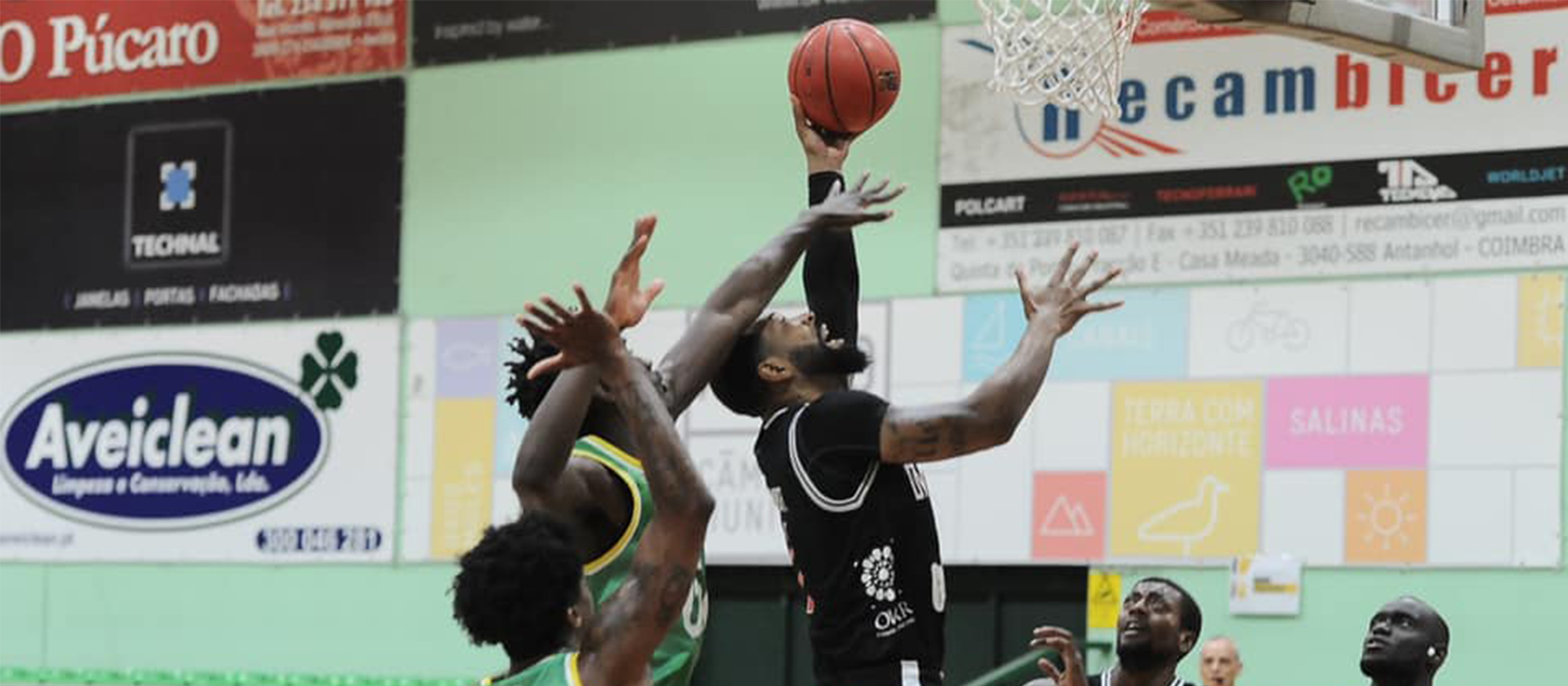 Basquetebol: Benfica é campeão com aveirenses em destaque.