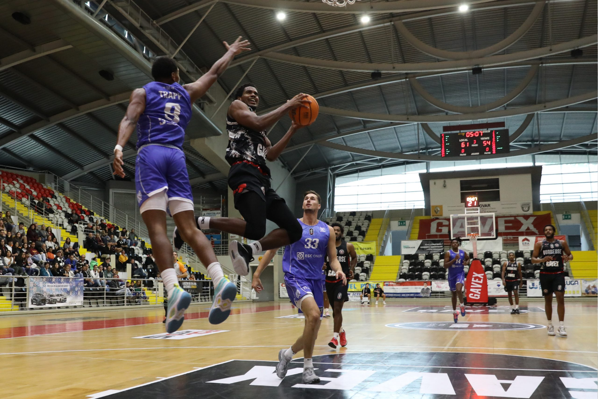 Basquetebol - NotaPositiva