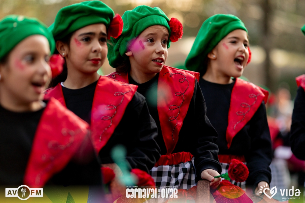 BSF 4818