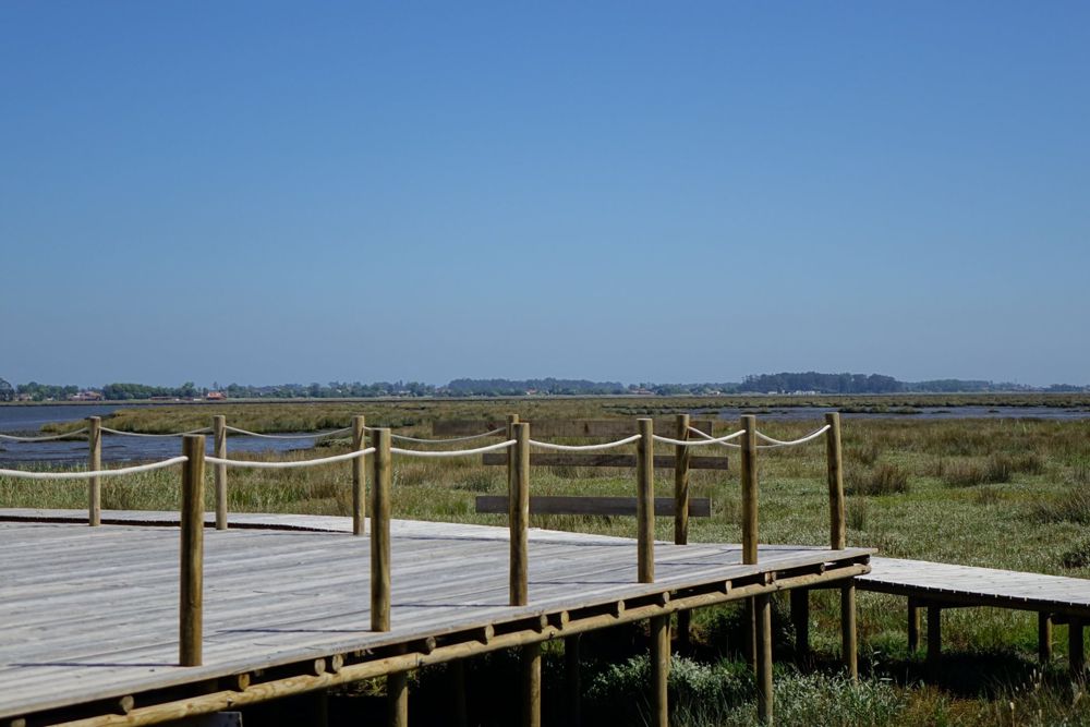Dia 30 - Ria / Cais da Tijosa
