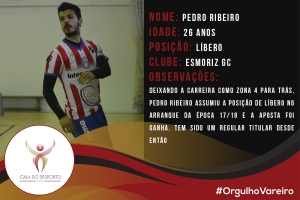 6 do ano - liberos - pedro ribeiro